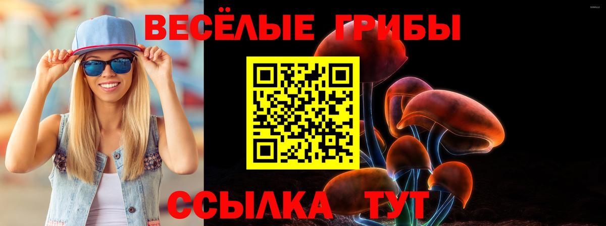 Усть-Илимск  Псилоцибиновые грибы Psilocybe  Вход с VPN 